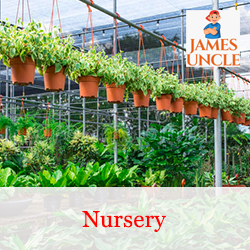 Nursery Mr. Debayan Bagchi in Birati